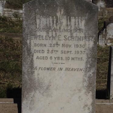 SCHIMPER Lewellyn E. 1930-1937