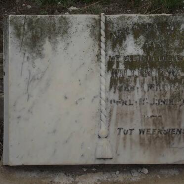 WAIT Willem P. 1910-1937