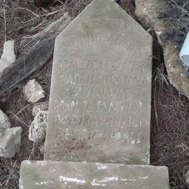 WILLIAMS Sarah Susanna 1901-1941