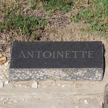 ? Antoinette