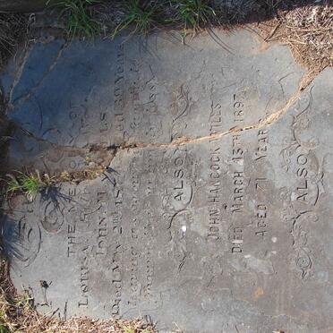 WILLS John Hancock -1897 &amp; Louise -1870