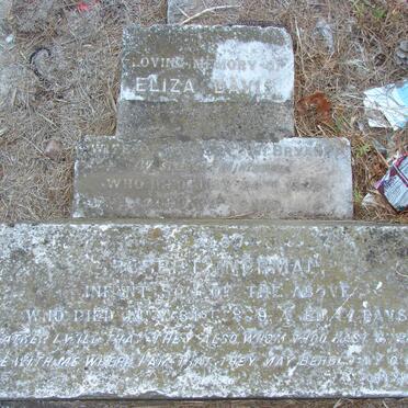 BRYANT Eliza Davis -18?9 :: BRYANT Robert Norman -1889