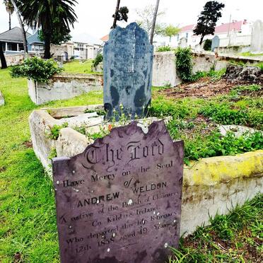 1. Overview WELDON graves