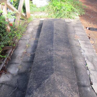 SUTTER John -1868 &amp; Elsie -1866