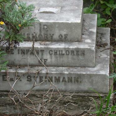 STEINMANN