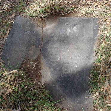 ADAMS ?ristiana -1830