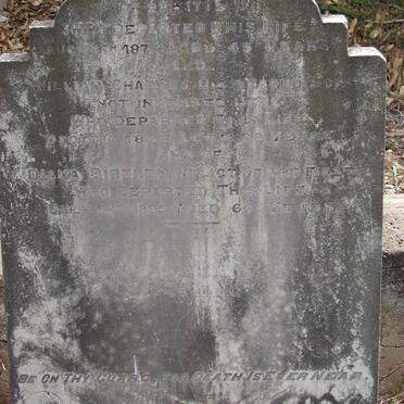 BIRTLEY James -1877 &amp; Diana -1895 :: BIRTLEY William Charles -1887
