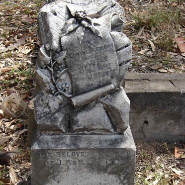 FOCKS Beatrice :: FOCKS Albert :: FOCKS Baby