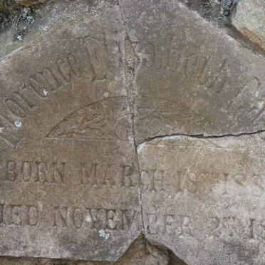 GAUE Florence Elizabeth 1882-1882