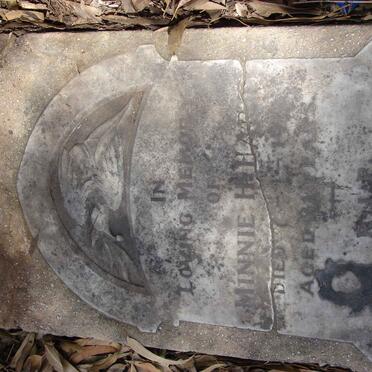 HART Minnie H. -1912