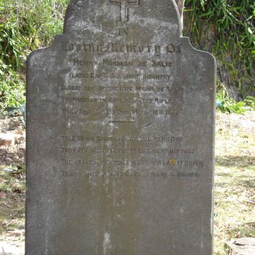 SALIS Henry Norman, de 1835-1877