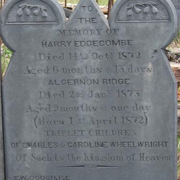 WHEELWRIGHT  Harry Edgecombe 1872-1872 :: WHEELWRIGHT Algernon Ridge 1872-1873