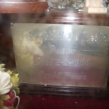 P - Vanne :: Surnames - P