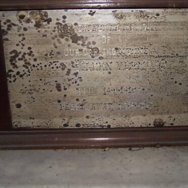 V - Vanne :: Surnames - V