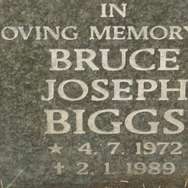 BIGGS Bruce Joseph 1972-1989