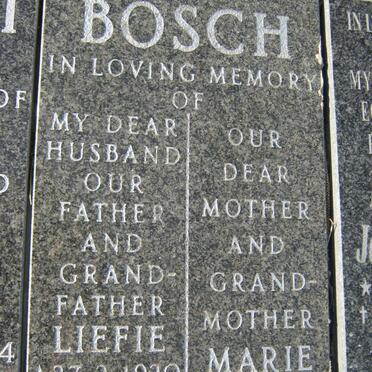 BOSCH Liefie 1920-1999 &amp; Marie -2000