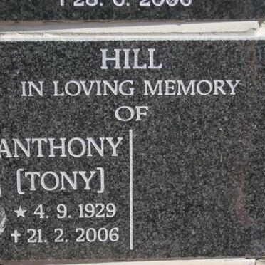 HILL Anthony 1929-2006