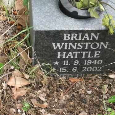 Ha - Surnames starting with the letters Ha 