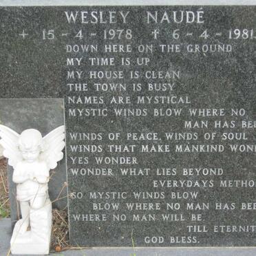 NAUDE Wesley 1978-1981