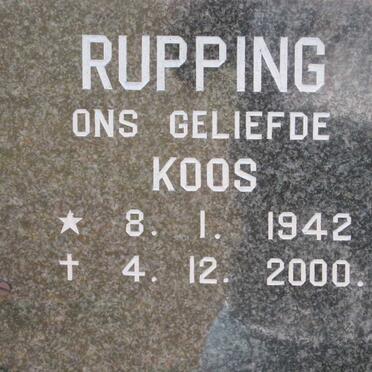 Ru - Surnames starting with the letters Ru