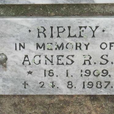 RIPLEY Agnes R.S. 1909-1987