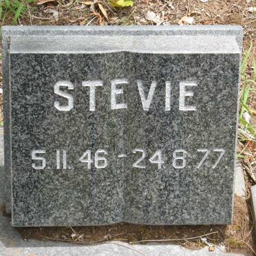 ? Stevie  1946-1977