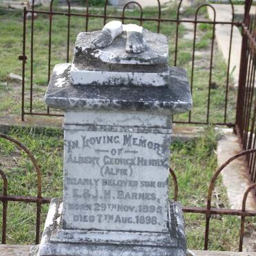 BARNES Albert George Henry 1895-1898