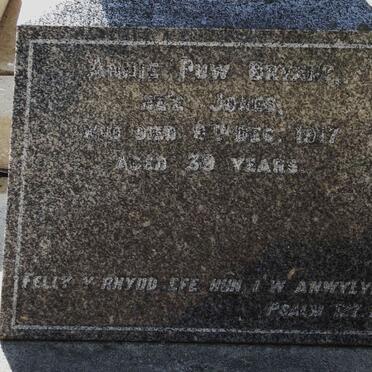 BRYANT Annie Puw nee JONES -1917