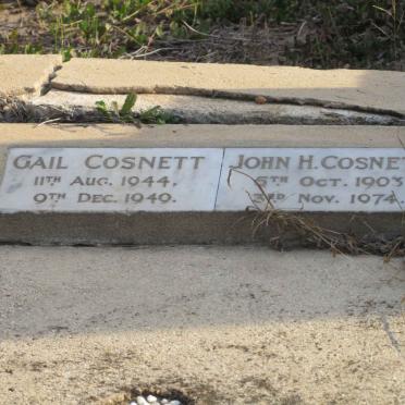 COSNETT John H. 1903-1974 :: COSNETT Gail 1944-1949