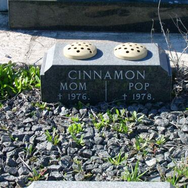 CINNAMON Pop -1978 &amp; Mom -1976