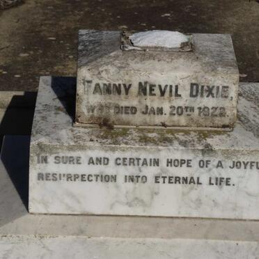 DIXIE Fanny Nevil -1922