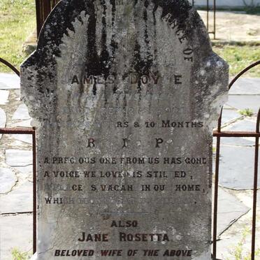 DOYLE James -1900 &amp; Jane Rosetta -1925