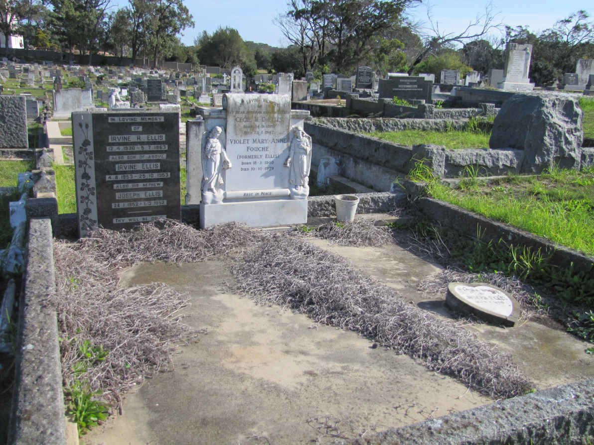 ELLIS :: FOUCHE