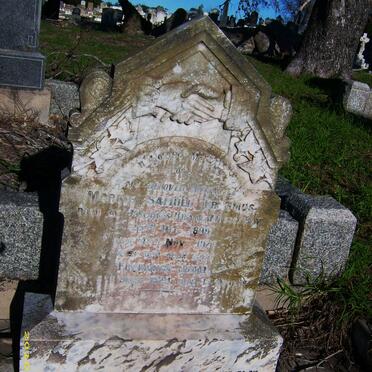 ERASMUS Marcus Samuel 1898-1928 :: ERASMUS Frederick Johan -1924