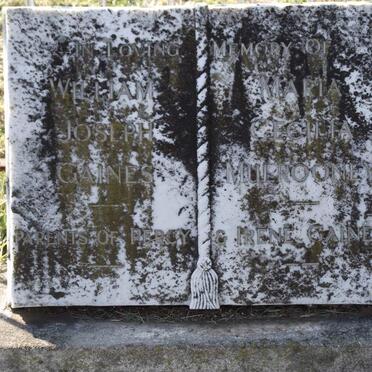 GAINES William Joseph &amp; Maria Cecilia MULROONE