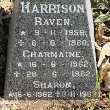 HARRISON Raven 1959-1960 :: HARRISON Charmaine 1962-1962 :: HARRISON Sharon 1962-1963