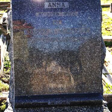 HA? Anna
