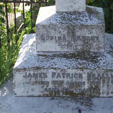 HEALLY James Patrick -1911