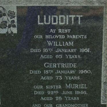 LUDDITT William -1951 &amp; Gertrude -1960 :: LUDDITT Muriel 1946 :: LUDDITT Jane -1927 