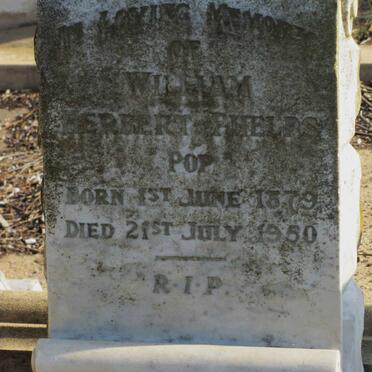 PHELPS William Herbert 1879-1950