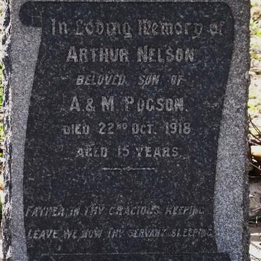 POGSON Arthur Nelson -1918