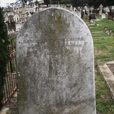 PODMORE Reginald C.D. -1900