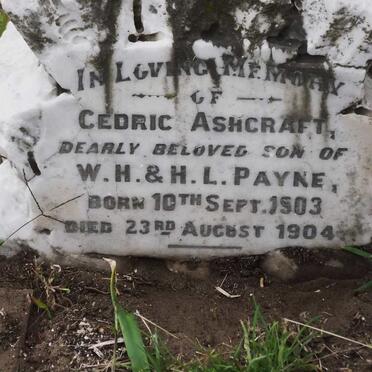PAYNE Cedric Ashcraft 1903-1904