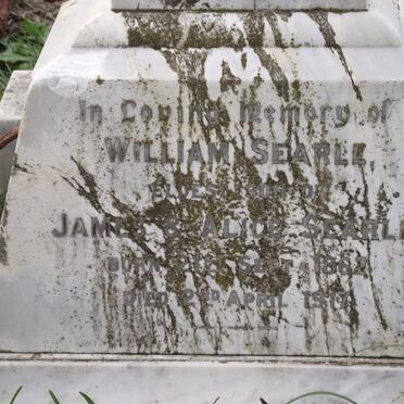 SEARLE William 1862-1917