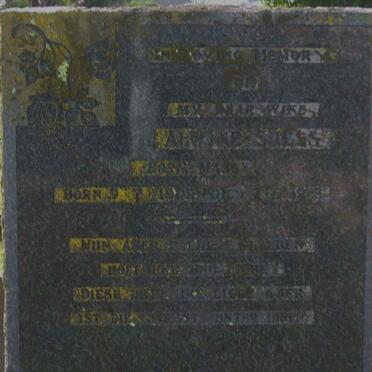 SUESS Alewine nee MASS 1909-1943