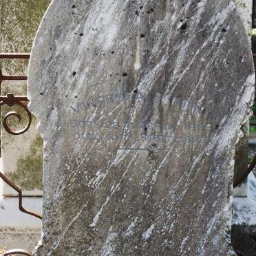 SARTINI Vincenza 1895-1896