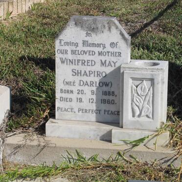 SHAPIRO Winnifred May nee DARLOW 1888-1960