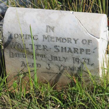 SHARPE Walter 1928-1931 :: SHARPE Billy 1923-1941