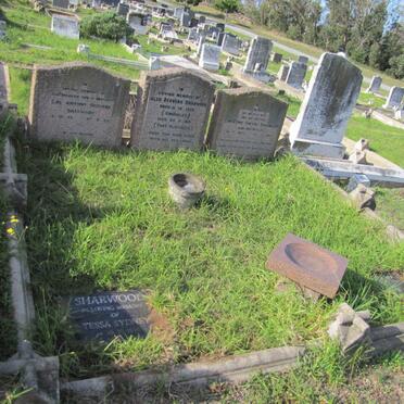 SHARWOOD :: MACINTOSH :: SHEPHERD