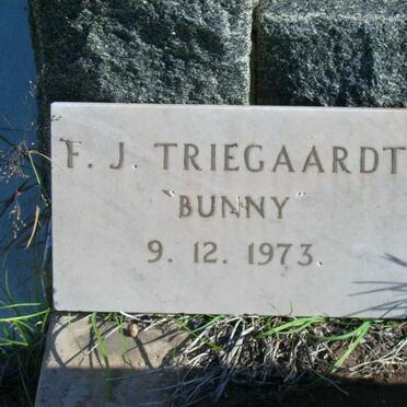 TRIEGAARDT F.J.  -1973